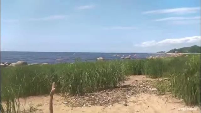 17 июня 2022 г.