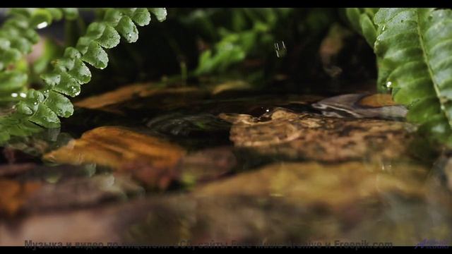 Трек, который вы включите, когда впервые увидите океан вместе - Dwelling On The Vastness Of Life --
