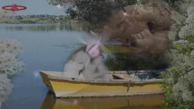 БЕЛАЯ ЧЕРЁМУХА ВЕСНОЮ  band-odessa