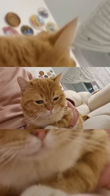 Боня и его дар✨️