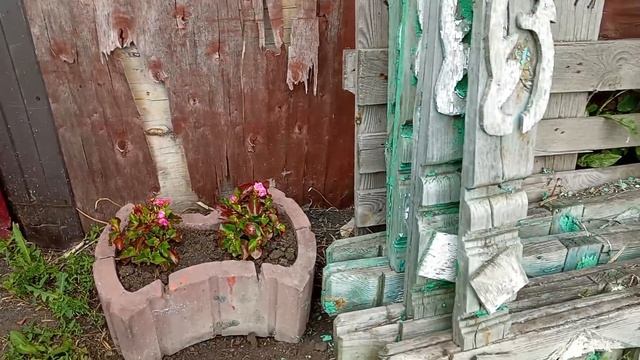 Первые зимние заготовки; в огороде всё так и прëт, так и прëт