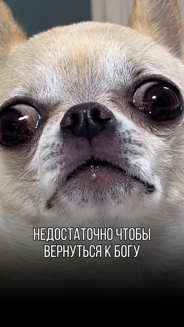 Поддерживаем вас Юмором каждый день!
