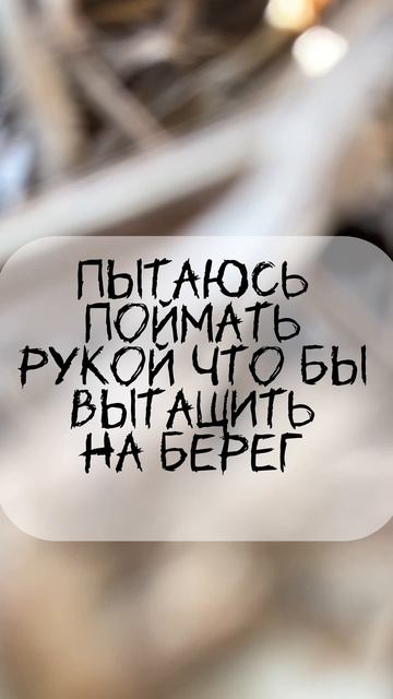Наглая Щучья морда на рыбалке