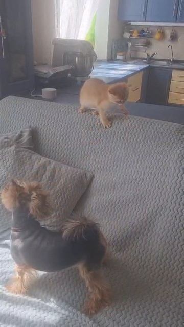 1000125208.mp4
