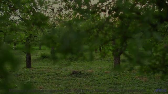 Трек, который вы включите, когда впервые увидите океан вместе - High-Vibe -- Ketsa -- Summer With So