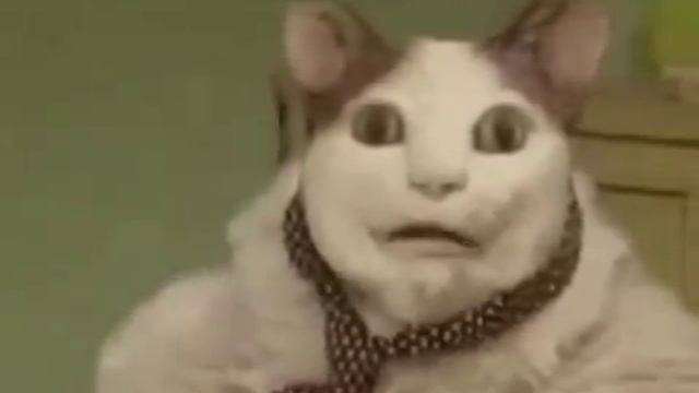 Испугался? Не зря