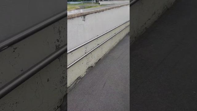 Я пешеход 15.06.25 Тюмень
