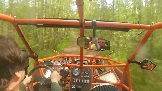 Обследую лес в Больших Гоголях