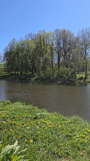 Вязьма 2025 #travel