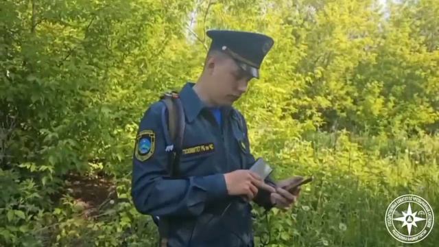 Если вы собрались выбраться в лес на прогулку, то соблюдайте основные правила безопасности
