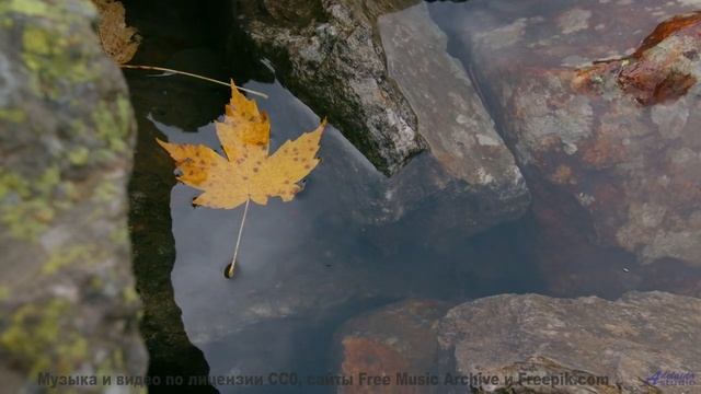Мелодия шепчет, как звучит настоящее спокойствие - People In Rooms Trying to Be Happy -- One Man Boo
