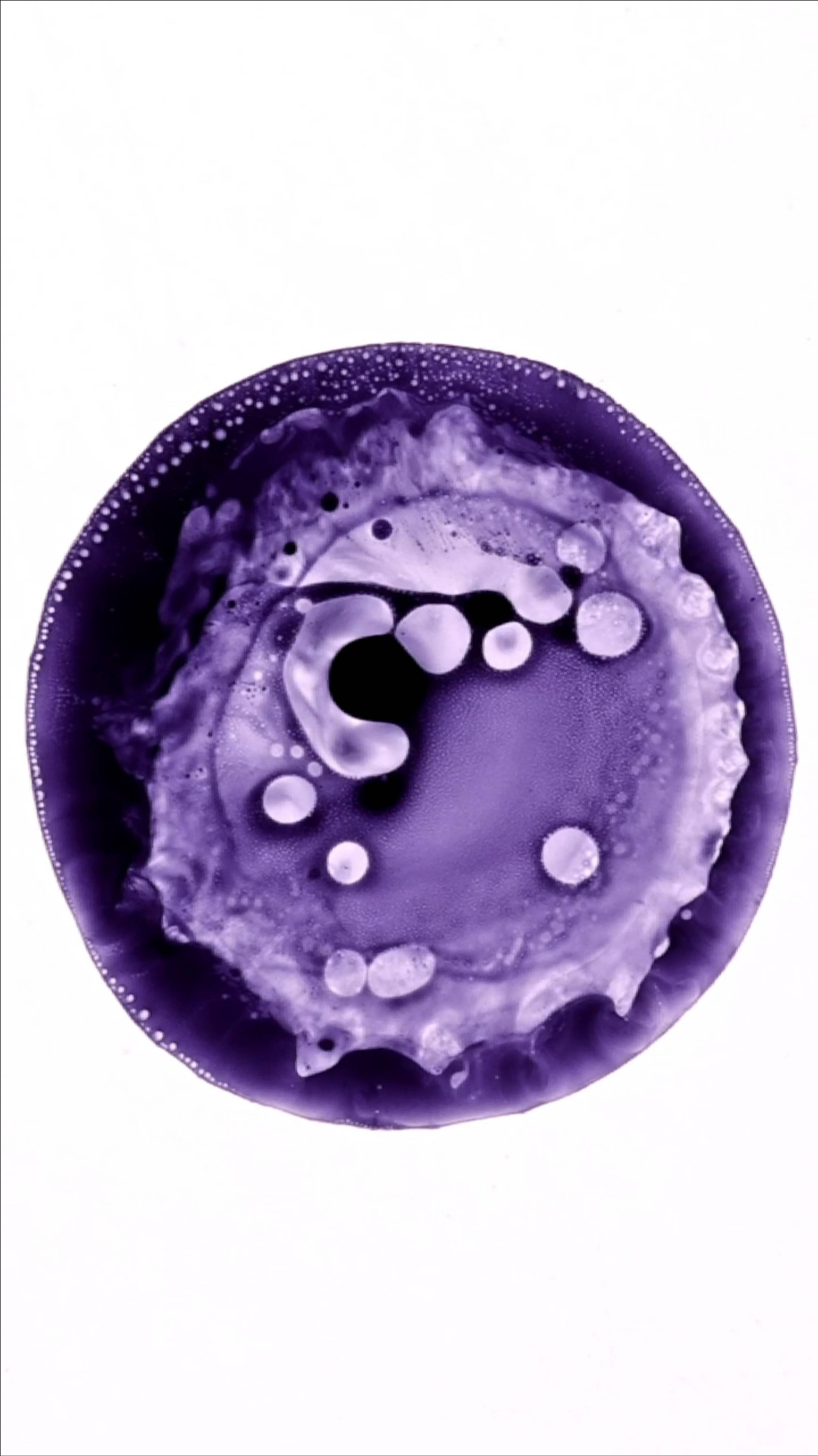 Matrix I