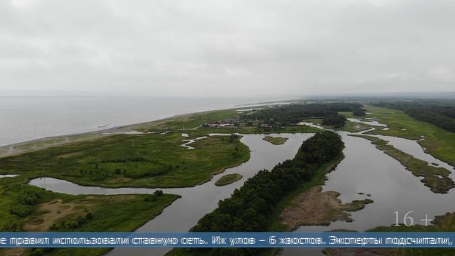 11.06.2025 Два рыбака, ловившие симу на Лютоге, стали фигурантами уголовного дела