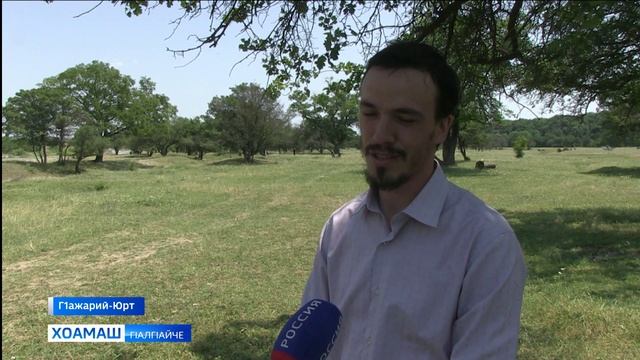 Г1алг1ай экоактивисташ ц1ендар Эса бердаш