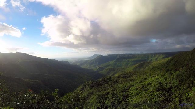 Леса и поля раскрываются под эту мелодию - Sweet N Juicy-Say Hi-Mar 2018-LIVE -- Sweet N Juicy -- Li