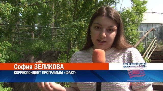 Депутат Думы Артем Семенков совместно с администрацией провел мастер-класс по обрезке кустарников