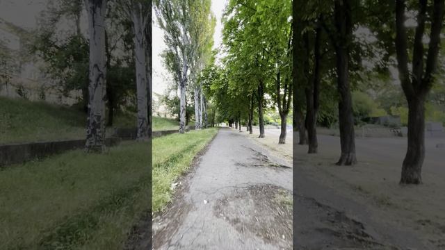 A-Razumovsky - Я иду по дороге