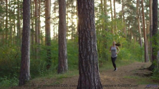 Это видео докажет, что природа лучше любого фильма - Azzmash Reflash -- Podington Bear -- Haplessly