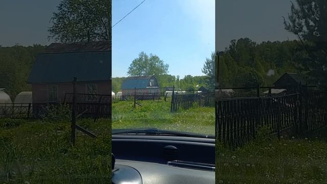 Очередная радостная покупка//красота, чистый воздух