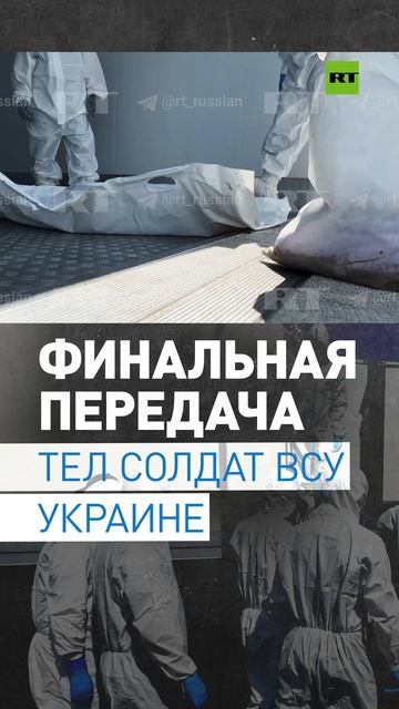 Заключительный этап: Россия передала Украине 1248 тел солдат ВСУ