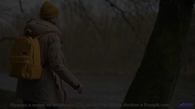 Эти пейзажи заряжают, а музыка - взрывает! - Junk Vultures -- Exquisite Frosting Penmanship -- Trans