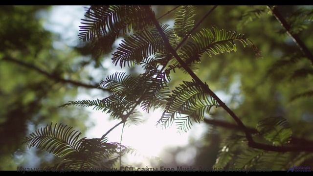 Послушай эта музыка усиливает каждое мгновение - Celebration -- Scott Holmes Music -- Indie-Pop + Ac