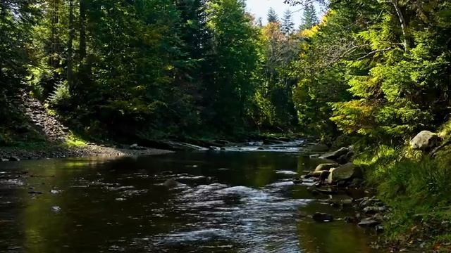 Успокаивающие звуки природы и журчание водички часть 9
