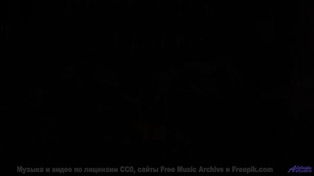 Почему ваш мозг не может обработать эти образы - Songwriter for Life -- Taylor Poe -- Quiet Sound of
