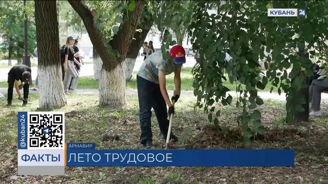 Набор подростков в трудовые бригады на лето продолжается в Армавире