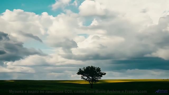 Эта мелодия сделает виды настолько ярче, что ахнешь - Return to the basis -- Soft and Furious -- You