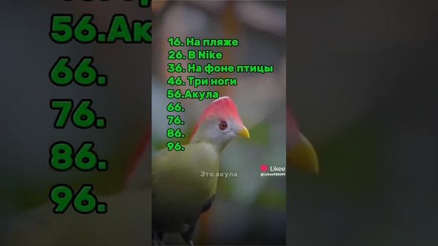 загадки итальянских животных подсказками