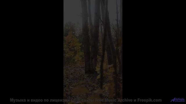 Это видео - как путешествие на край света! - Mosey -- A. A. Aalto -- Bright Corners