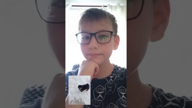 Про бима