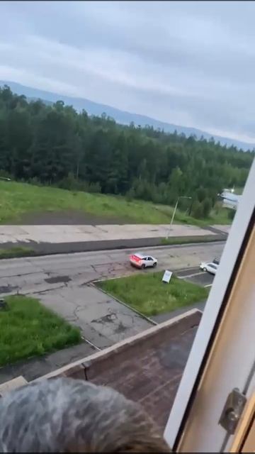 В город Усть-Илимск вышел медведь 🐻