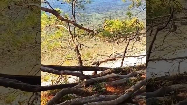 Путешествие с кошкой в кемпинге около Архипо Осиповки.
