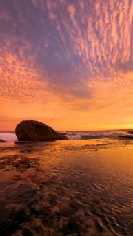 -7626253906716008677