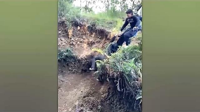 Всячинки
