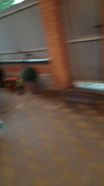 VID20250615142032.mp4