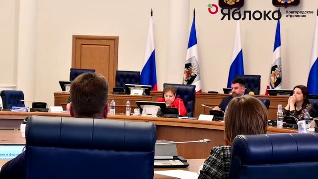 Председатель Новгородского "Яблока"  Анна Черепанова о муниципальном фильтре