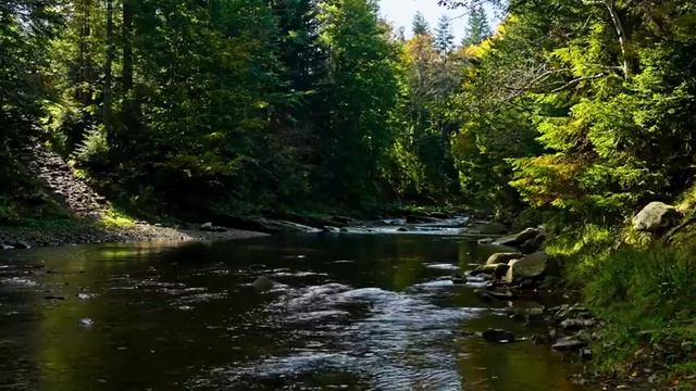 Успокаивающие звуки природы и журчание водички часть 2