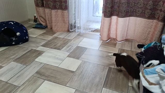 Привет всем! Я снова тут и начинаю играть