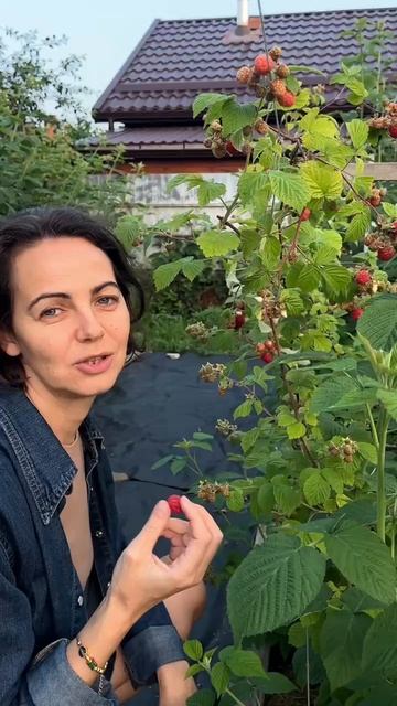 Про нейросети и картинки для создания дизайнов, рекламка