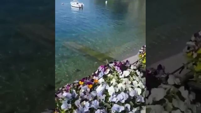 VID-20250616-WA0106