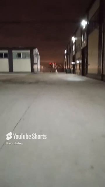1000003149.mp4