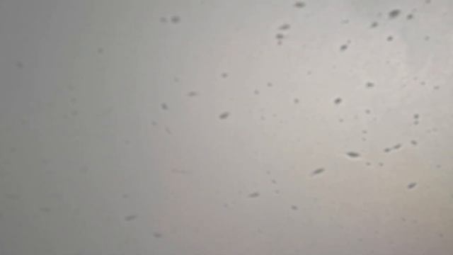 Хайнань  - Вступление