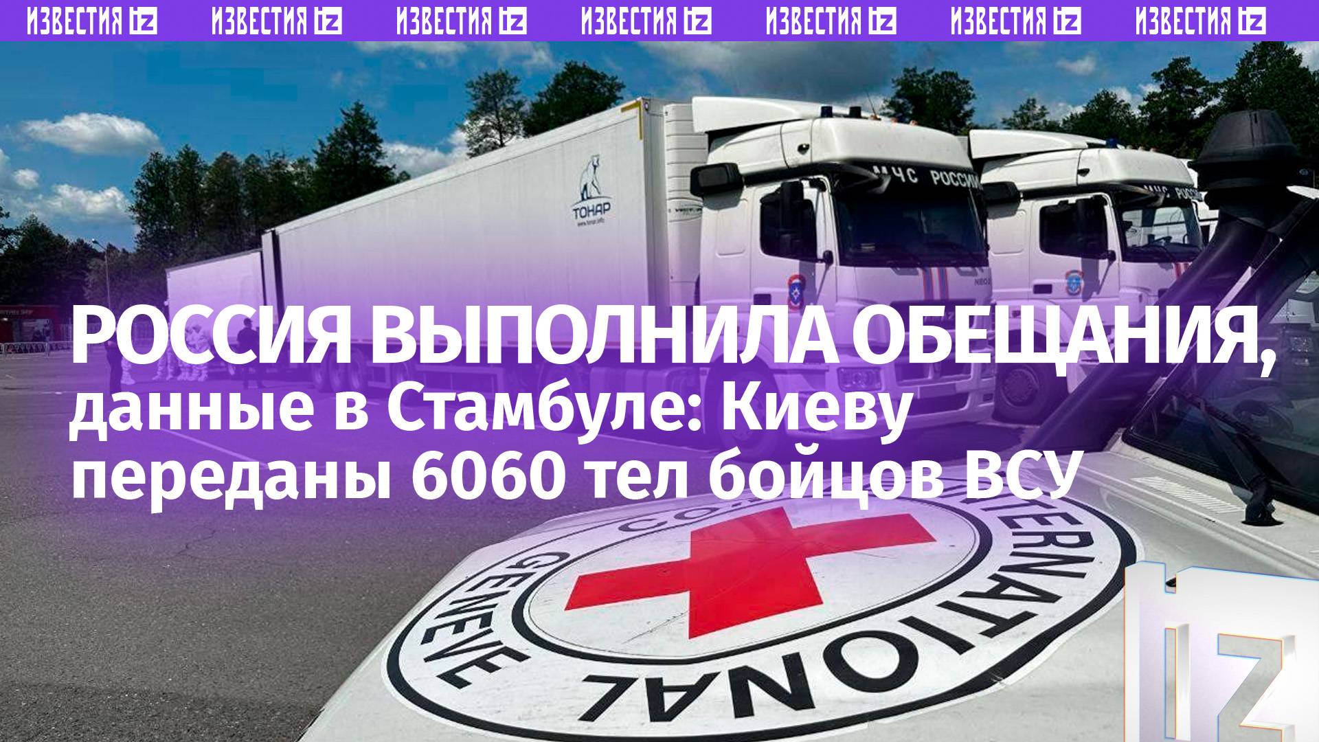 6060 тел погибших бойцов ВСУ вернули Украине — Россия выполнила стамбульские договоренности