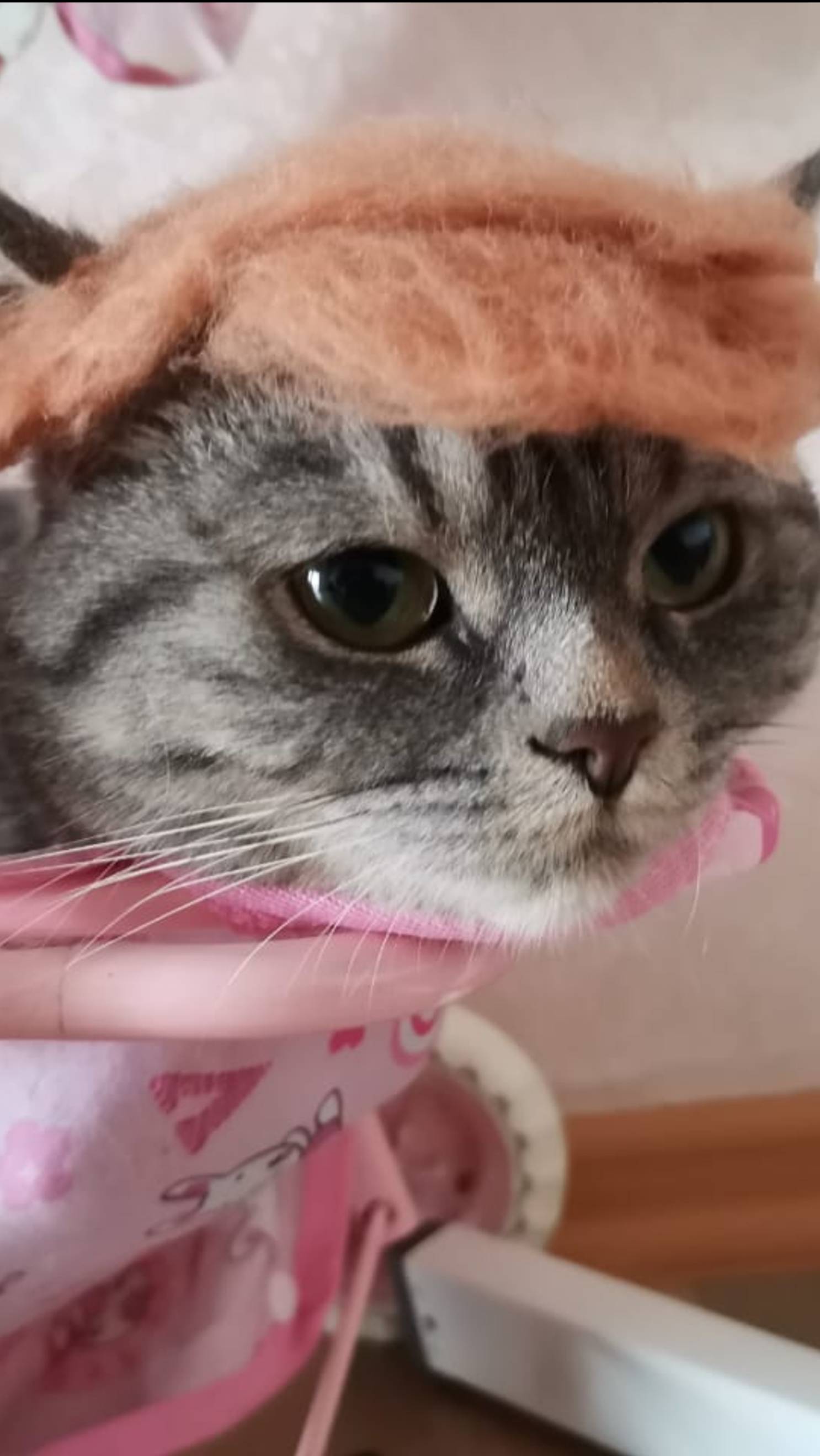 Яичко