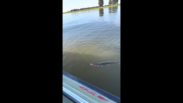 Семейный отдых на базе «ВЕРХНЕЛЕБЯЖЬЕ FISH RESORT»
