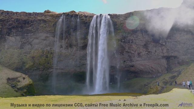 Природа через тепловизор будущего - новый взгляд на мир! - Hollows Cove -- Ayla Nereo -- Play Me a T