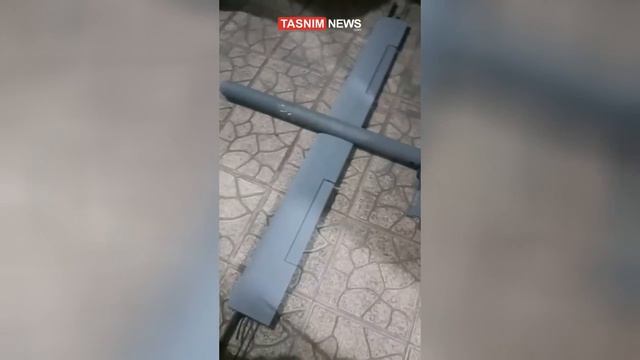 На территории Ирана существовало несколько фабрик Моссада по сбору дронов-камикадзе, которые затем и